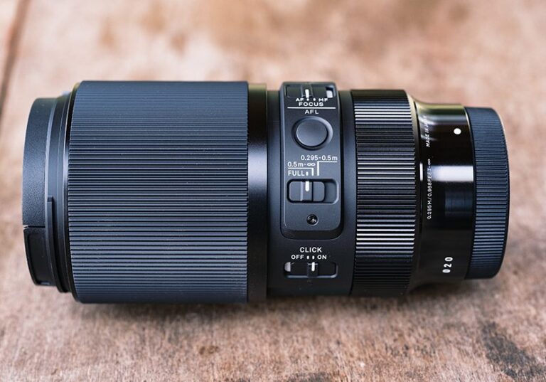 Review of the Sigma 105mm f/2.8 DG DN Macro Art Lens